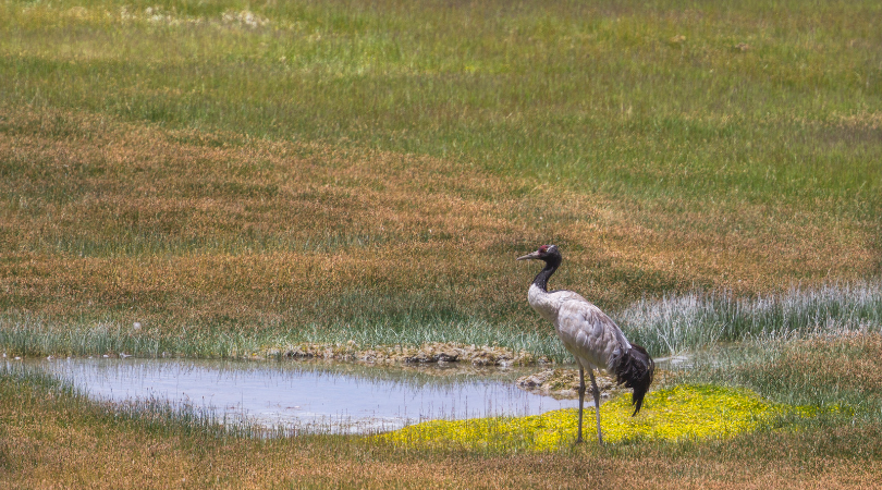 Best Time to Visit Bhutan